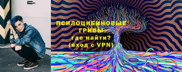 Альфа ПВП Баксан
