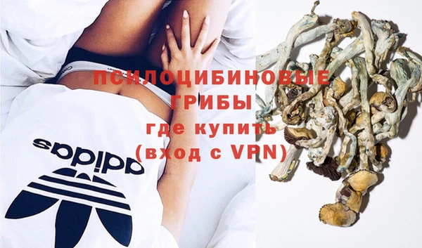 Альфа ПВП Баксан