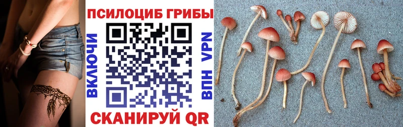 МЕГА онион  Высоцк  Псилоцибиновые грибы прущие грибы 